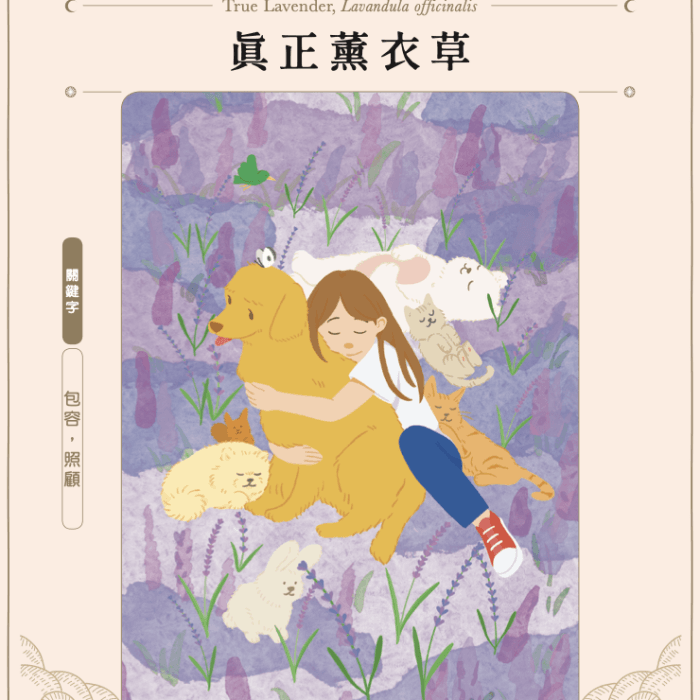 33_真正薰衣草 (1)